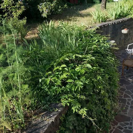 Mila - Charming Near The Sea Apartment Izola