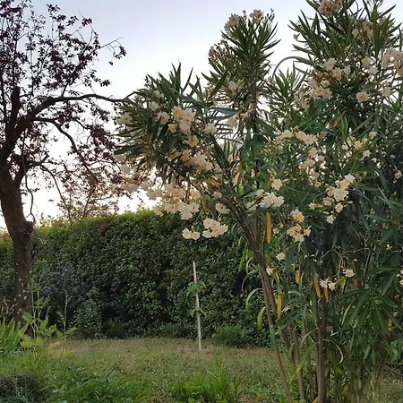 Appartement Mila - Charming Near The Sea *