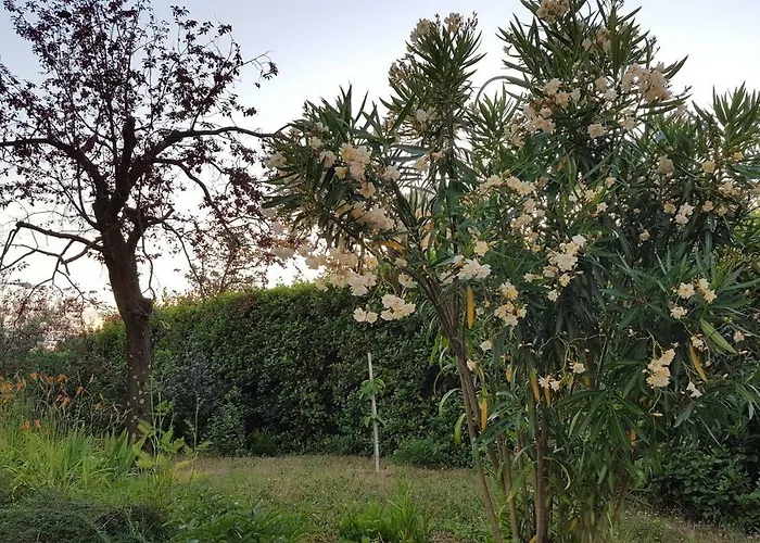 דירה Mila - Charming Near The Sea *